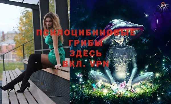 гидропоника Алексеевка
