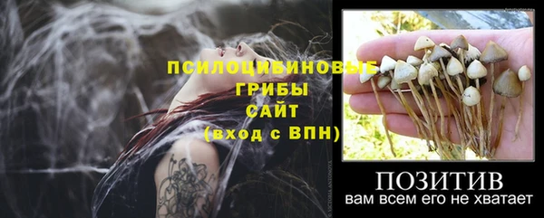 ALPHA-PVP Алексин