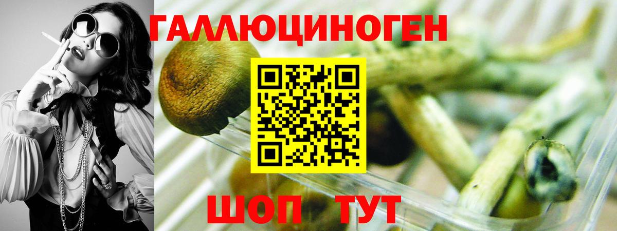 Псилоцибиновые грибы ЛСД  Вход с VPN  Галлюциногенные грибы GOLDEN TEACHER  Североуральск 