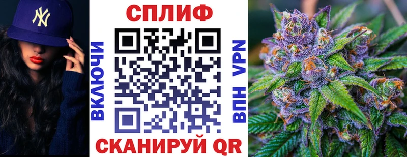 где можно купить наркотик  Североуральск  МАРИХУАНА White Widow 